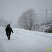Зима за городом (ФОТО)