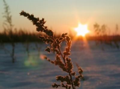 В Приморье сохраняется морозная погода