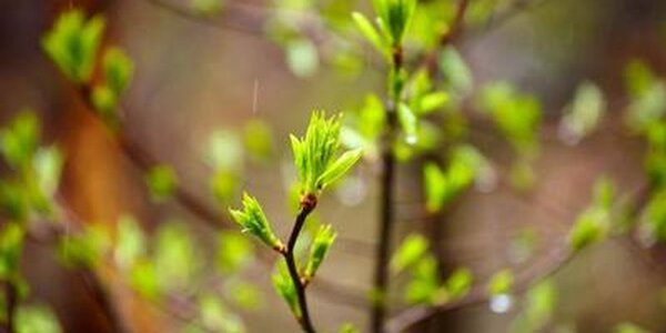 Циклон принесет дожди в Приморье: подробный прогноз на пятницу на Примпогоде