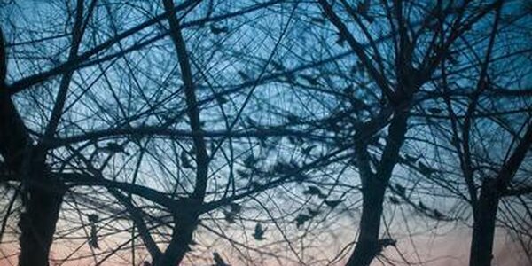 Небольшие морозы вернутся в Приморье во вторник ночью