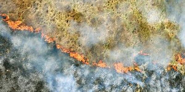 Внимание! 28 – 29 апреля в Приморье высокая опасность лесных пожаров