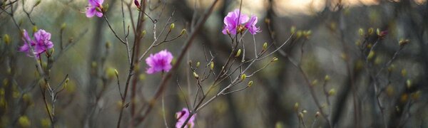 Переменчивая погода ожидается в Приморье в последнюю неделю апреля