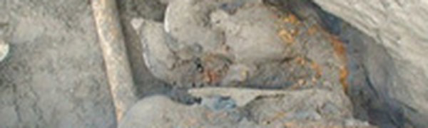 Ребенок нашел 30 000-летнего мамонта