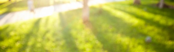 Сквер имени Суханова