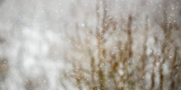 В выходные в Приморье местами пройдёт снег