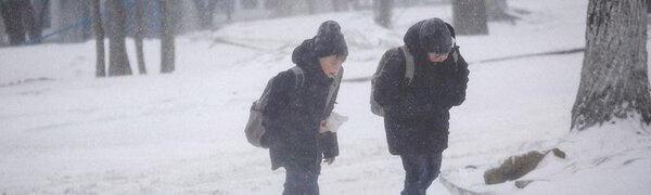 Школы и детсады Владивостока сегодня работают в обычном режиме