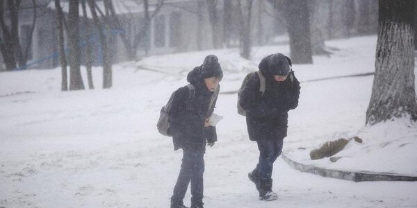 Школы и детсады Владивостока сегодня работают в обычном режиме