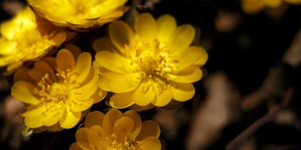 Завтра на побережье Приморья станет немного теплее