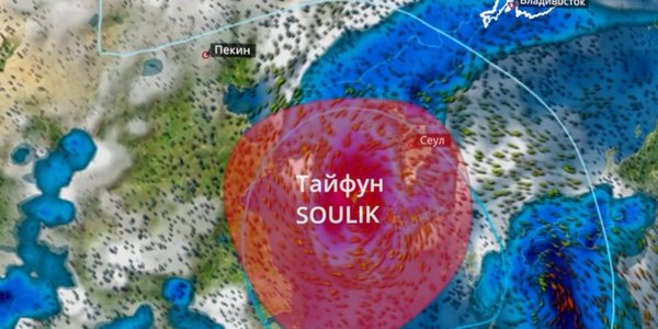 Тайфуны «Румбия» и «Сулик» принесут в Приморье проливные дожди (ВИДЕО)