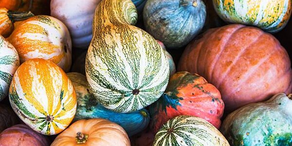 До конца сезона ярмарка во Владивостоке будет проходить по пятницам и субботам