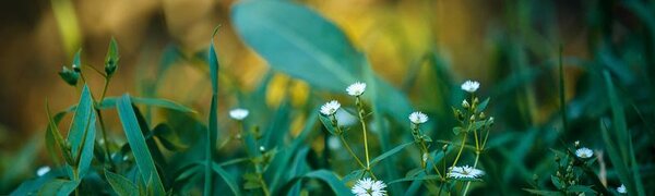 Продолжительное и сильное похолодание придёт в Приморье на выходных