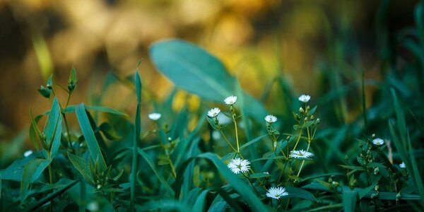 Продолжительное и сильное похолодание придёт в Приморье на выходных