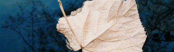 Повышенная водность рек сохраняется в Приморье