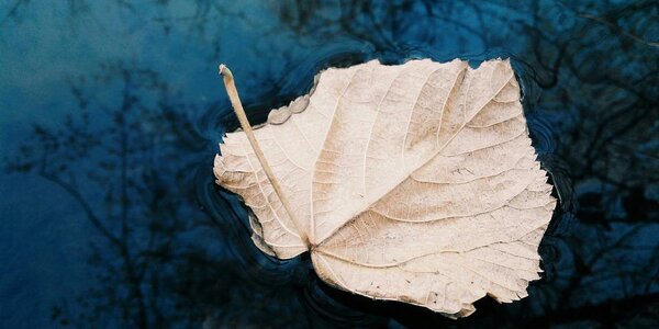 Повышенная водность рек сохраняется в Приморье