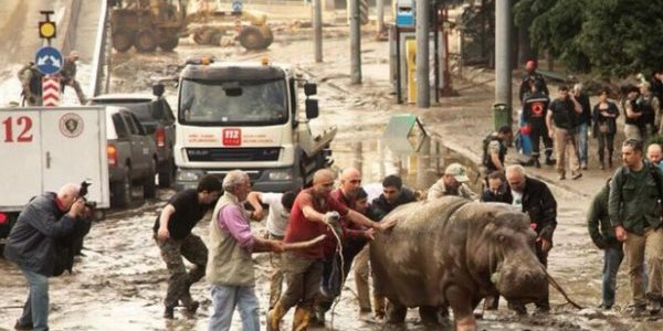 Ливень вызвал сильное наводнение в столице Грузии