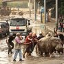 Ливень вызвал сильное наводнение в столице Грузии