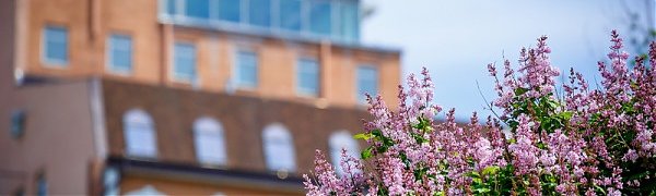 В ближайшие дни во Владивостоке будет тепло и солнечно
