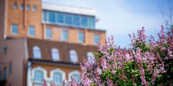 В ближайшие дни во Владивостоке будет тепло и солнечно