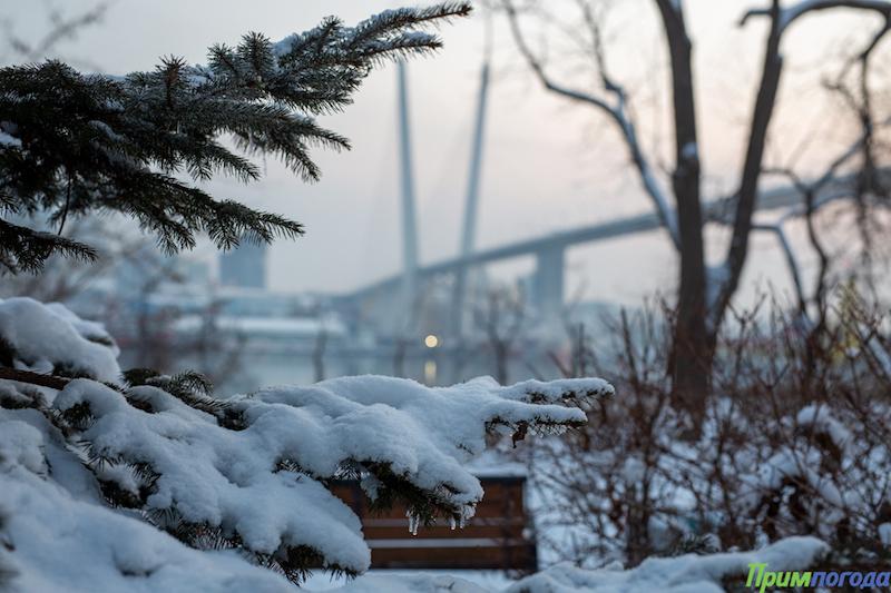 «Почему после дождя становится холоднее, а после сильного снегопада теплее?» — Яндекс Кью